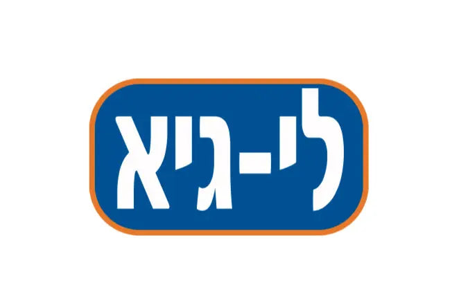 מוצרי לי גיא
