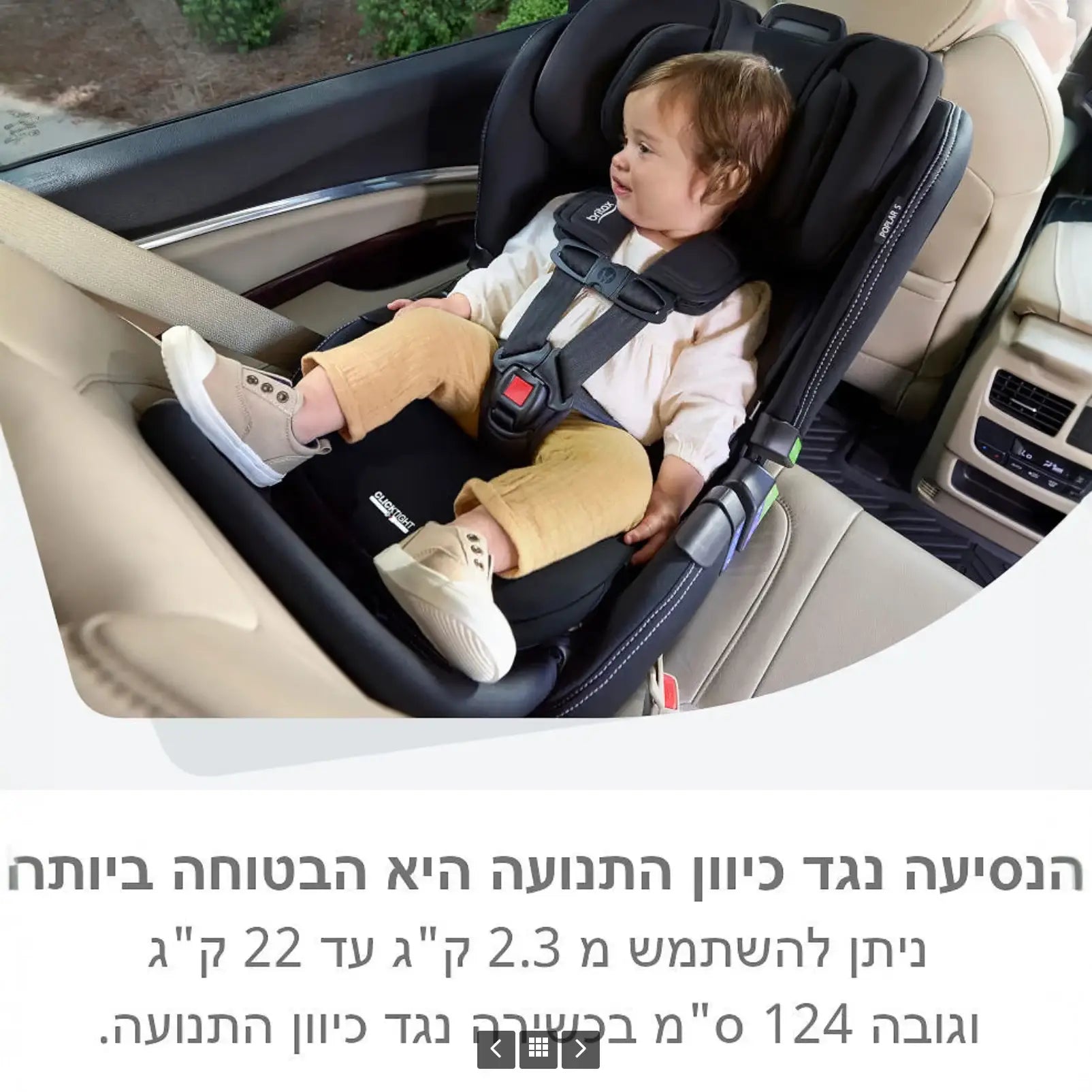 כסא בטיחות POPLAR S ARB