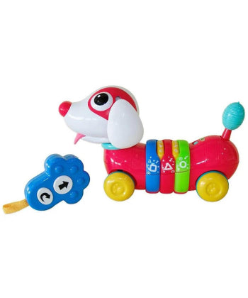 הכלבלב הראשון שלי + שלט
