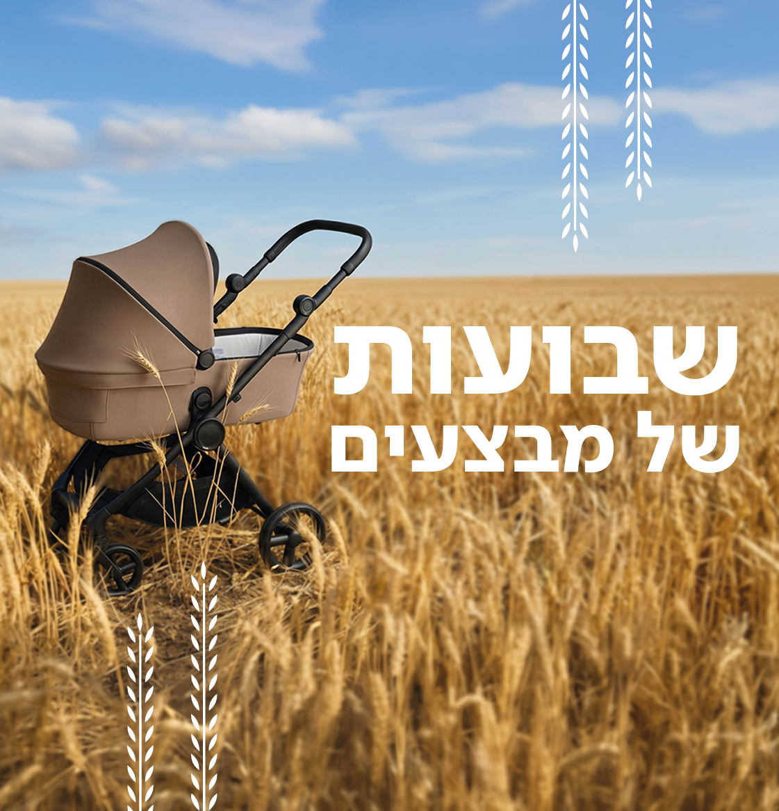 שבועות של מבצעים