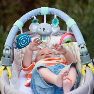 Taf toys קשת קואלה לעגלה ולאמבטיה