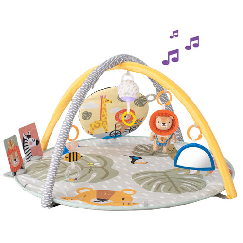 Taf toys אוניברסיטה פעילות סוואנה