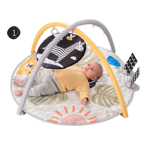 Taf toys אוניברסיטה פעילות סוואנה