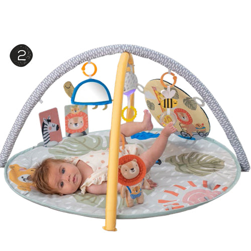 Taf toys אוניברסיטה פעילות סוואנה