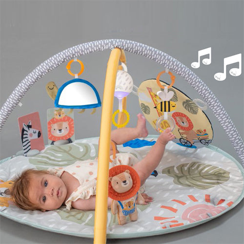 Taf toys אוניברסיטה פעילות סוואנה