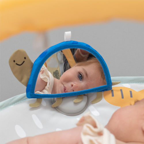 Taf toys אוניברסיטה פעילות סוואנה