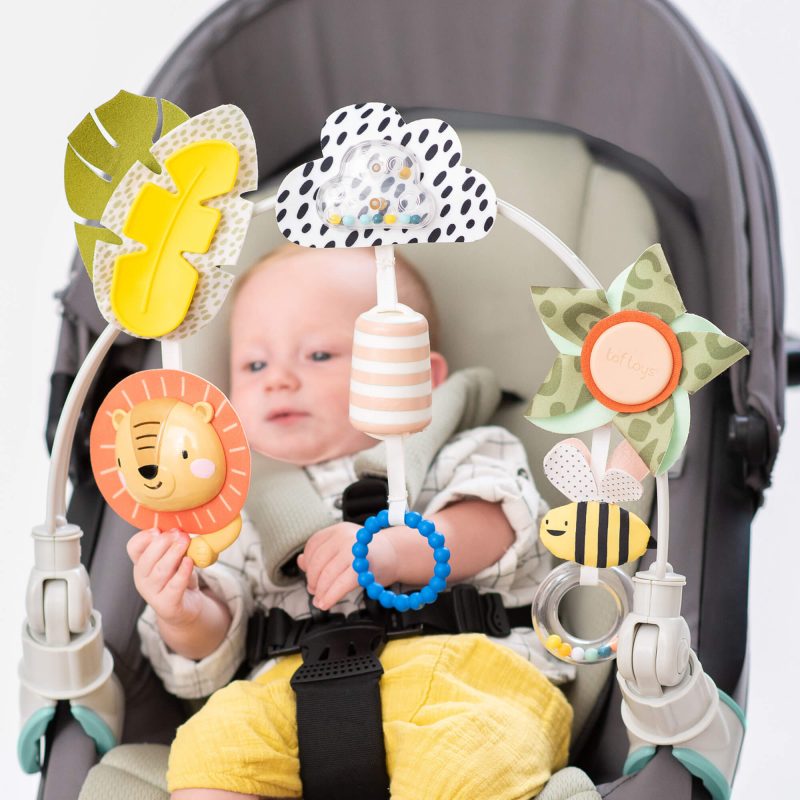 Taf toys קשת הרפתקאות סוואנה