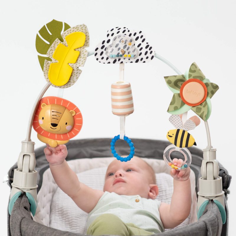 Taf toys קשת הרפתקאות סוואנה