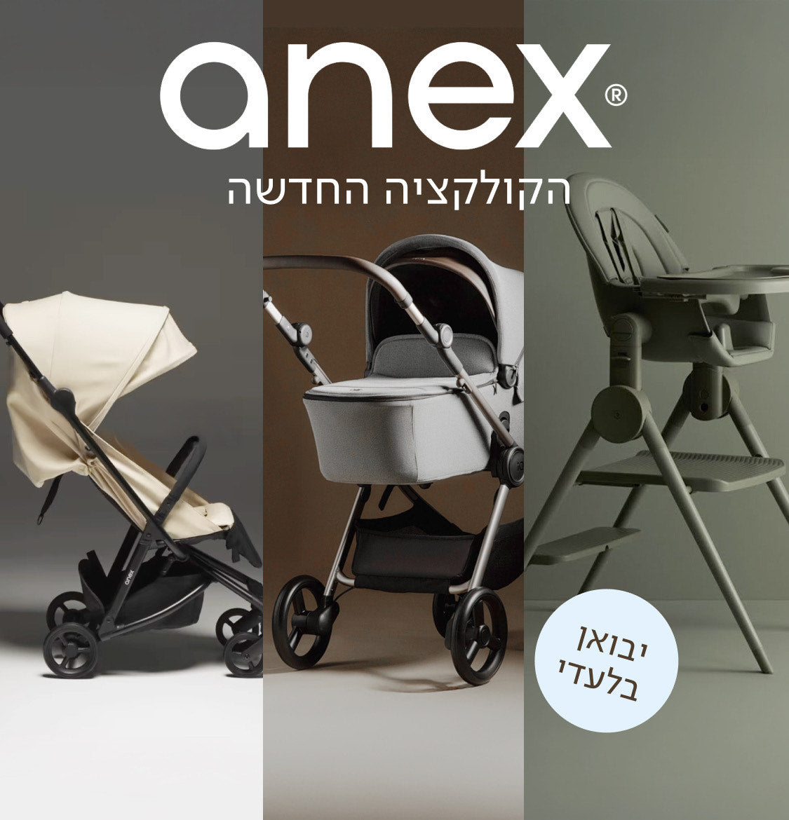 יבואן בלעדי | ANEX | הקולקציה החדשה