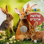 קוראים מישוש שלושה ארנבים