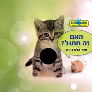 קוראים מישוש האם זה חתול