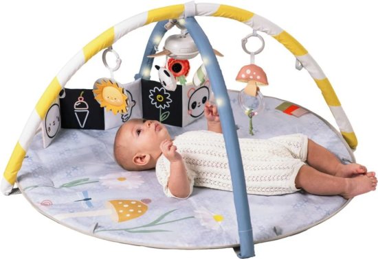משטח פעילות אינטראקטיבי לתינוק Taf Toys