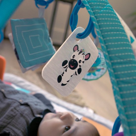 אוניברסיטה מוסיקלית עם פסנתר הקסם 4 ב-1 מבית Baby Einstein