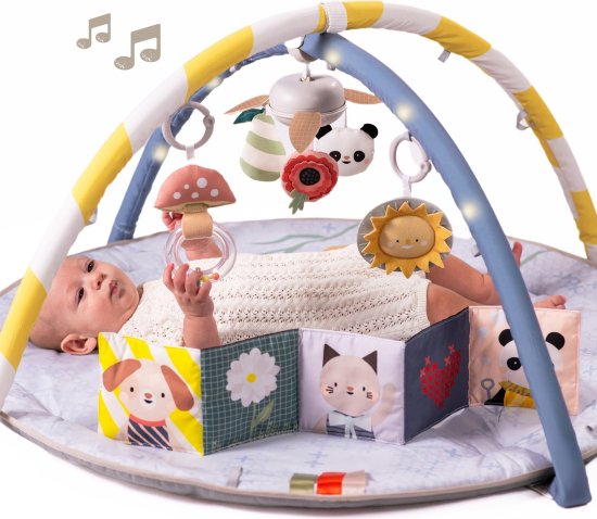 משטח פעילות אינטראקטיבי לתינוק Taf Toys