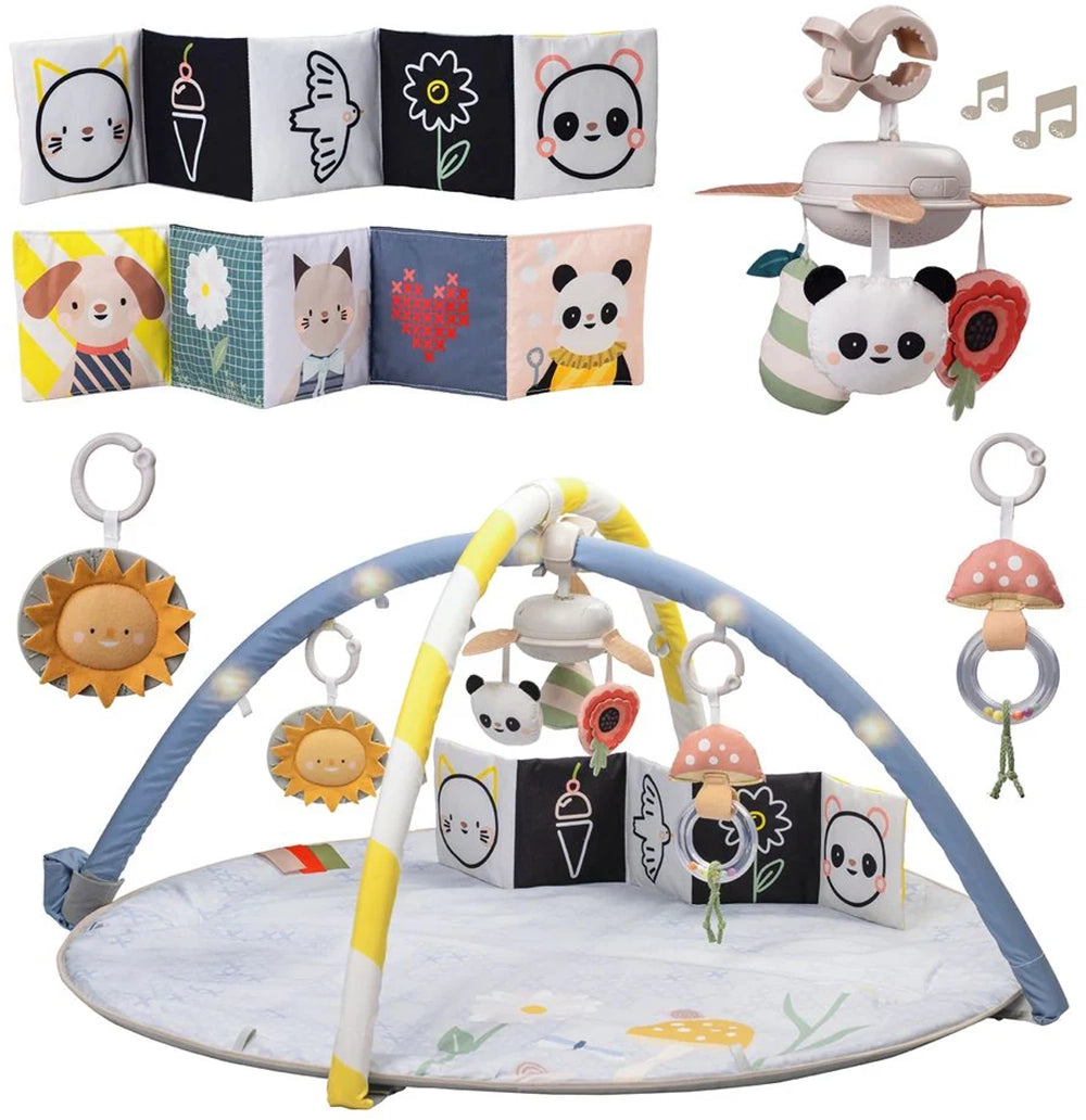 משטח פעילות אינטראקטיבי לתינוק Taf Toys