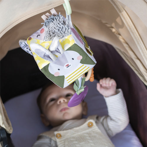 קוביית פעילות מקולקציית הגינה האורבנית Taf Toys